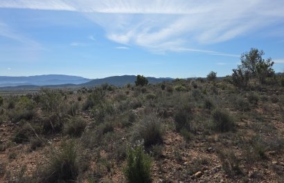 Resale - Plot / Land - Yecla