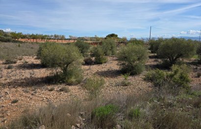 Resale - Plot / Land - Yecla