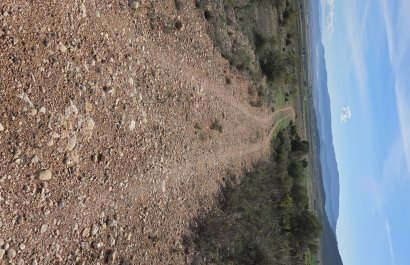 Resale - Plot / Land - Yecla