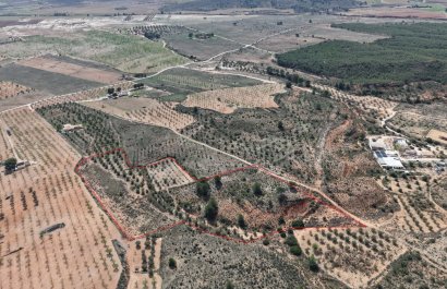 Resale - Plot / Land - Yecla