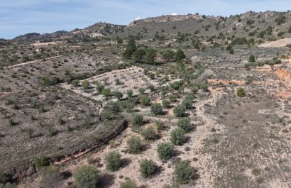 Resale - Plot / Land - Yecla