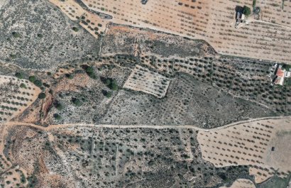 Resale - Plot / Land - Yecla
