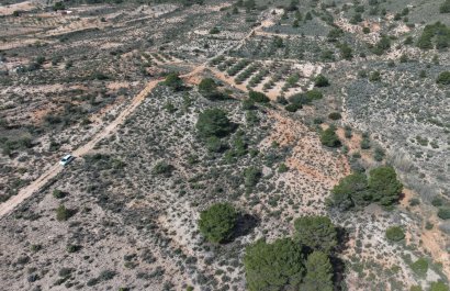 Resale - Plot / Land - Yecla