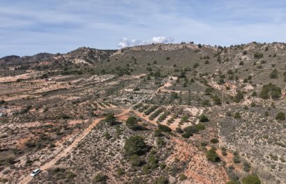 Resale - Plot / Land - Yecla