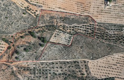 Resale - Plot / Land - Yecla