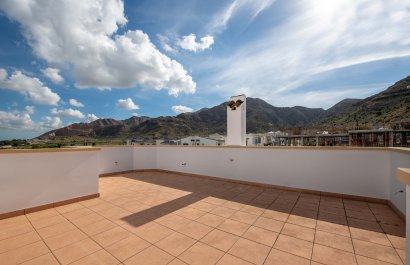 New Build - Townhouse / Duplex / Corner - Cox