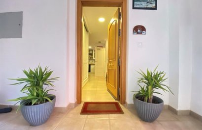 Resale - Apartment / flat - Altaona Golf and Country Village - Altaona Golf - Country Village