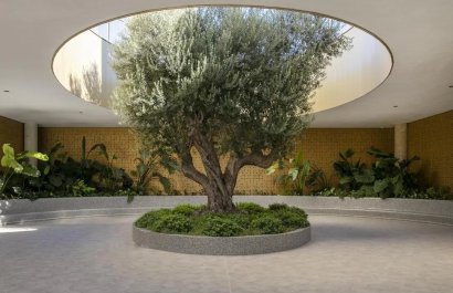 Reventa - Apartamento / piso - Benidorm - Zona de Poniente