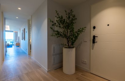 Nieuwbouw Woningen - Appartement / flat - Guardamar del Segura