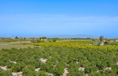 Resale - Apartment / flat - Daya Nueva - Costa Blanca South