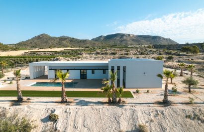 Obra nueva - Villa - Pinoso
