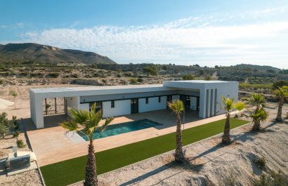 Obra nueva - Villa - Pinoso