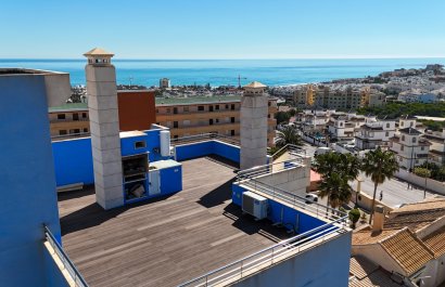 Resale - Apartment / flat - Torrevieia - La Mata