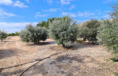 Resale - Villa - Orihuela - La Matanza