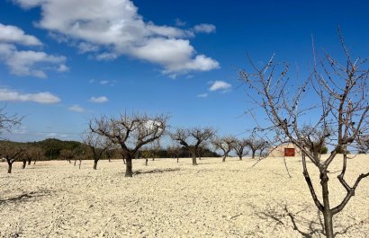 Resale - Plot / Land - BULLAS - Costa Calida