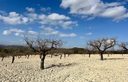 Resale - Plot / Land - BULLAS - Costa Calida