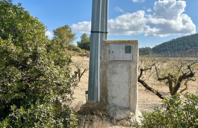 Resale - Plot / Land - BULLAS - Costa Calida