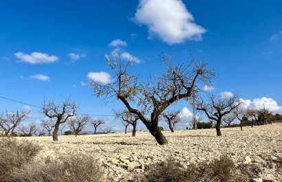 Resale - Plot / Land - BULLAS - Costa Calida