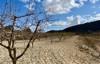Resale - Plot / Land - BULLAS - Costa Calida
