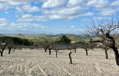 Resale - Plot / Land - BULLAS - Costa Calida