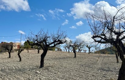 Resale - Plot / Land - BULLAS - Costa Calida