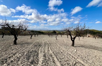 Resale - Plot / Land - BULLAS - Costa Calida