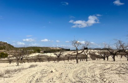 Resale - Plot / Land - BULLAS - Costa Calida