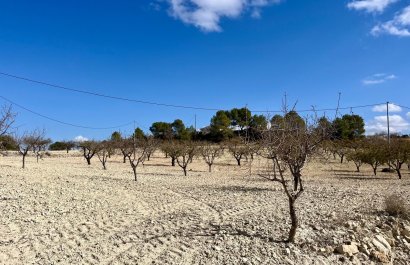 Resale - Plot / Land - BULLAS - Costa Calida