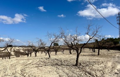 Resale - Plot / Land - BULLAS - Costa Calida