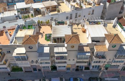 Resale - Apartment / flat - Torrevieia - Torrevieja