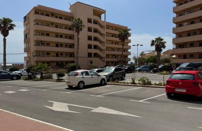 Resale - Apartment / flat - Torrevieia - Torrevieja>Cabo Cervera