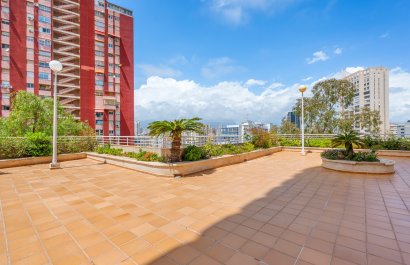Resale - Apartment / flat - Benidorm