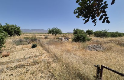 Resale - Villa - Fuente Alamo - Fuente Alamo de Murcia