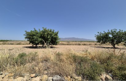 Resale - Villa - Fuente Alamo - Fuente Alamo de Murcia