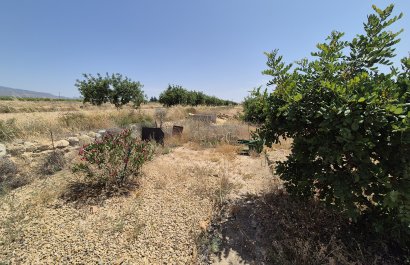 Resale - Villa - Fuente Alamo - Fuente Alamo de Murcia