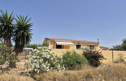 Resale - Villa - Fuente Alamo - Fuente Alamo de Murcia