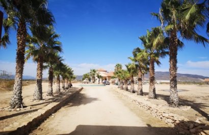 Resale - Villa - Fuente Alamo - Fuente Alamo de Murcia