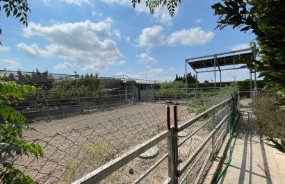 Resale - Villa - San Fulgencio - La Marina