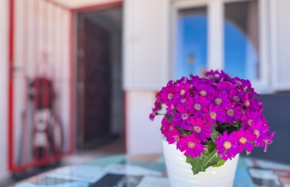 Resale - Apartments - Flats - Torrevieia - Cabo Cervera