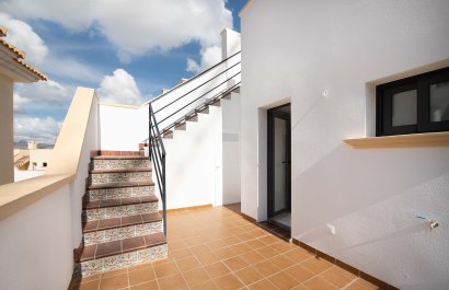 New Build - Townhouse / Duplex / Corner - Cox