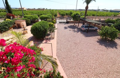 Reventa - Country House - Albatera - Albatera - Country