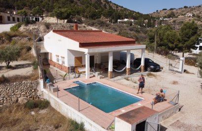 Herverkoop - Country House - Crevillente