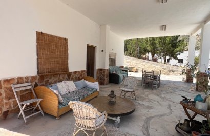 Herverkoop - Country House - Crevillente