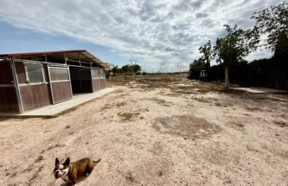 Resale - Country House - San Fulgencio - La Marina