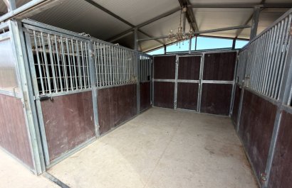 Resale - Country House - San Fulgencio - La Marina