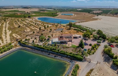 Herverkoop - Country House - San Miguel de Salinas - Torremendo