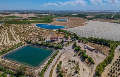 Herverkoop - Country House - San Miguel de Salinas - Torremendo