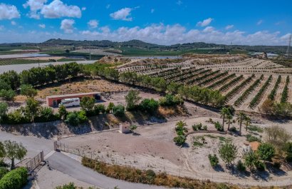 Herverkoop - Country House - San Miguel de Salinas - Torremendo