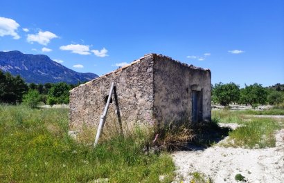 Reventa - Parcela / Terreno - Benimassot