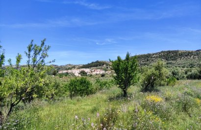 Reventa - Parcela / Terreno - Benimassot